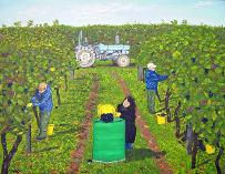 link to original oil painting grape picking in biddenden vineyard