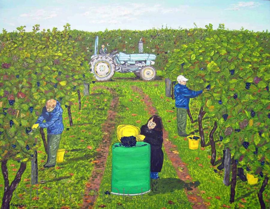 Oil painting grape picking Biddenden vineyard